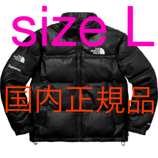 supreme the north face leather nuptse