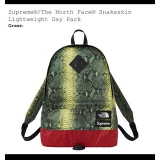 シュプリーム(Supreme)のSupreme The North Face (バッグパック/リュック)