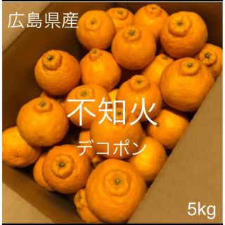 広島県産　不知火　デコポン　5kg(フルーツ)