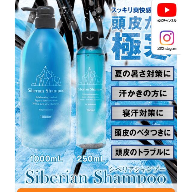 水橋保寿堂製薬(ミズハシホジュドウセイヤク)のアルマダ　シベリアシャンプー コスメ/美容のヘアケア/スタイリング(シャンプー)の商品写真