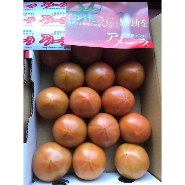4ケース　アメーラトマト　自信あります！　高糖度　フルーツトマト　品質鮮度抜群！生鮮品につき値引は出来ません