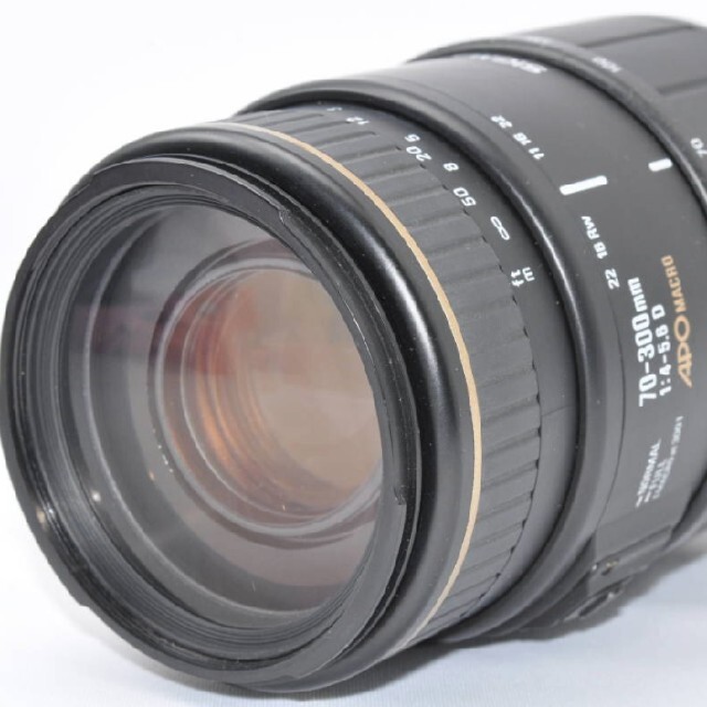 本格派ま! SIGMA - 9月18日限定価格♪【Nikon用】SIGMA APO AF 70-300mm レンズ(ズーム) 本格派ま! SIGMA - 9月18日限定価格♪【Nikon用】SIGMA APO AF 70-300mm レンズ(ズーム)