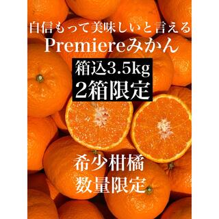 愛媛県産甘くて美味しいPremiereみかん箱込3.5kg入 柑橘 果物 ミカン(フルーツ)