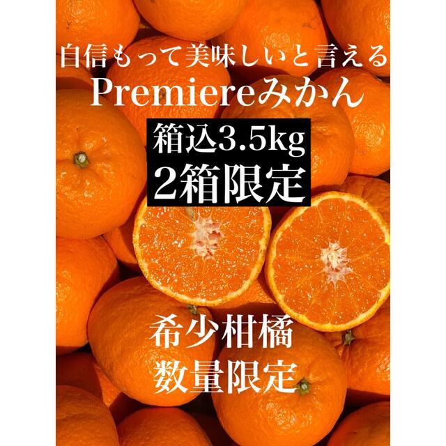 愛媛県産甘くて美味しいPremiereみかん箱込3.5kg入 柑橘 果物 ミカン 食品/飲料/酒の食品(フルーツ)の商品写真