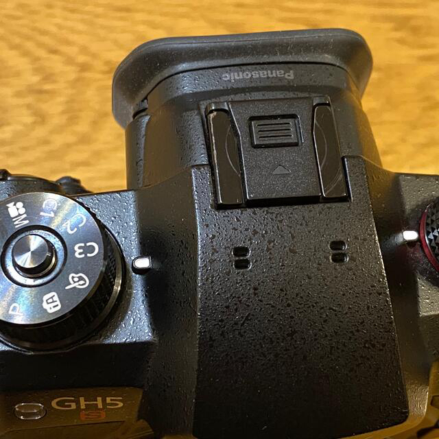 Panasonic LUMIX DC-GH5S パナソニック おまけ付き Panasonic LUMIX DC-GH5S パナソニック おまけ付き