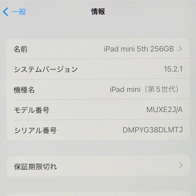 iPad mini 5 Cellular セルラー 256GB SIMフリー