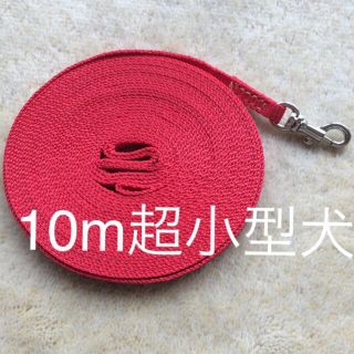 10m超小型犬用ロングリード レッド(犬)