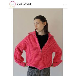 アマイル(AMAIL)のAMAIL Bon bon turtle zip knit(ニット/セーター)