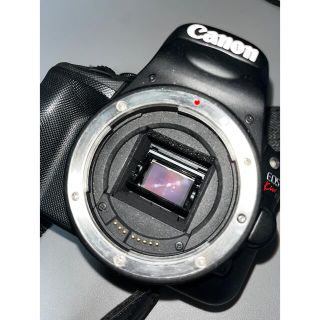 キヤノン(Canon)の専用 Canon eos kiss x7 本体(デジタル一眼)