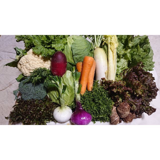 無農薬野菜セット7品　80サイズ満杯 食品/飲料/酒の食品(野菜)の商品写真