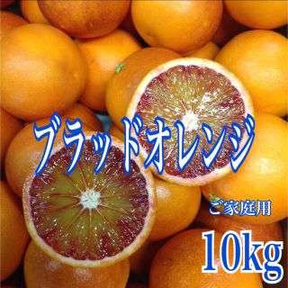 ブラッドオレンジ10kg 訳あり(フルーツ)