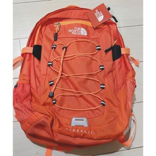 ザノースフェイス(THE NORTH FACE)の期間限定値下げ！新品未使用タグ付き！ノースフェイスリュック25L(登山用品)