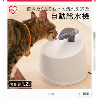 アイリスオーヤマ(アイリスオーヤマ)のペット猫犬　水　自動　新鮮　アイリスオーヤマ(猫)