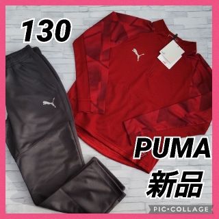 プーマ(PUMA)のPUMA ジャージ上下 130 男の子 サッカーウェア フットサル(その他)