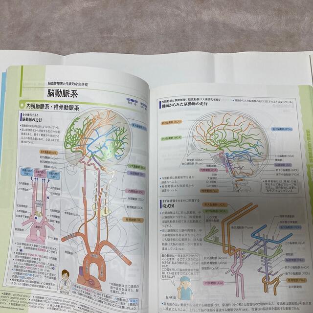 病気がみえる ７　脳・神経 エンタメ/ホビーの本(健康/医学)の商品写真