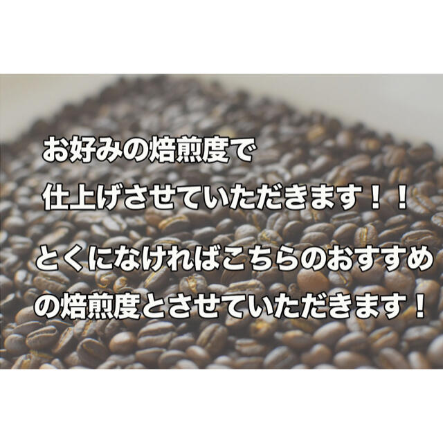 20杯分 エチオピアモカシダモG2 自家焙煎コーヒー豆(フルーティー系