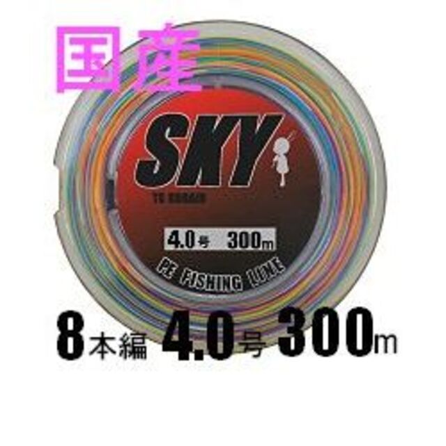 PEライン８本編 #0.4 Φ0.10mm 100ｍ (10m毎計5色）