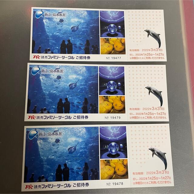 新江ノ島水族館 招待券 3枚 チケットの施設利用券(遊園地/テーマパーク)の商品写真