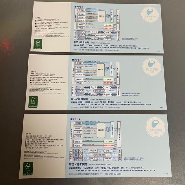 新江ノ島水族館 招待券 3枚 チケットの施設利用券(遊園地/テーマパーク)の商品写真