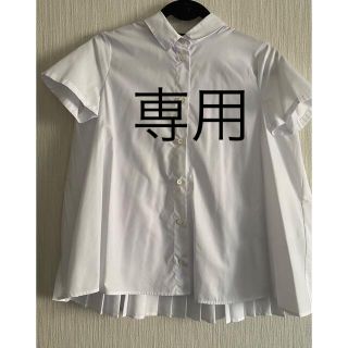 エンポリオアルマーニ(Emporio Armani)のエンポリオ　アルマーニ　半袖　ブラウス　新品(シャツ/ブラウス(半袖/袖なし))