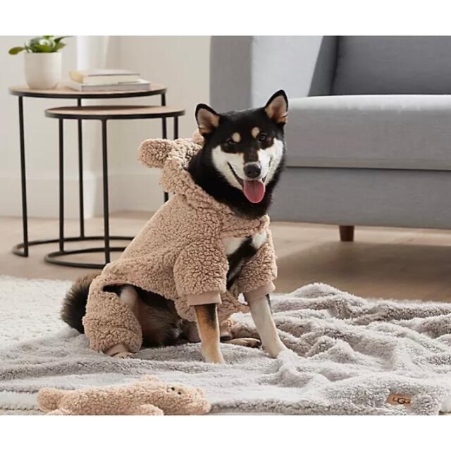 UGG ドックウエア ペット 服 犬 アグ レア 日本未入荷 www