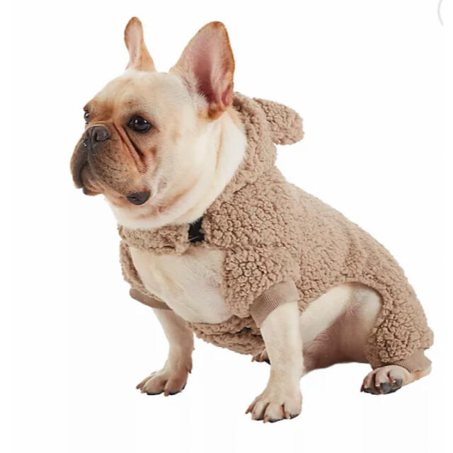 UGG ドックウエア ペット 服 犬 アグ レア 日本未入荷 www