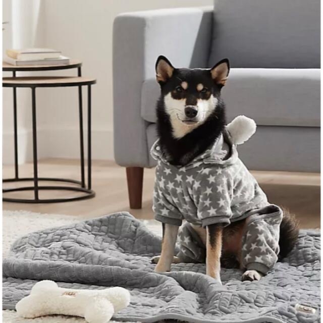 UGG ドックウエア ペット 服 犬 アグ レア 日本未入荷 www