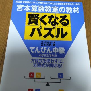 賢くなるパズル 宮本算数教室の教材 てんびん中級(語学/参考書)