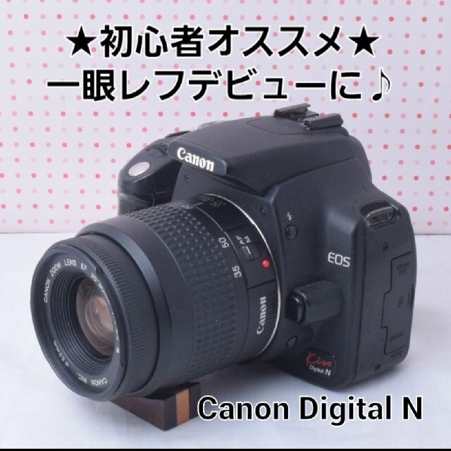 Nikon D2Hs 代替えで出血放出！付属品多数 撮影枚数少 状態良 送料込み