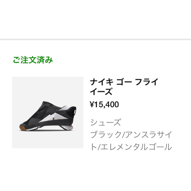 NIKE(ナイキ)のNike Go FlyEase Black Gum ナイキ ゴー フライイーズ メンズの靴/シューズ(スニーカー)の商品写真
