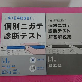 ベネッセ(Benesse)の高１ 進研ゼミ教材(語学/参考書)