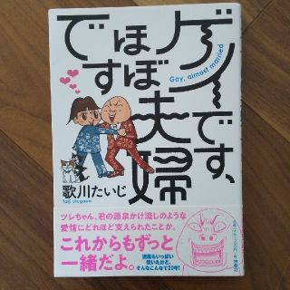 【美品】ゲイです、ほぼ夫婦です(文学/小説)