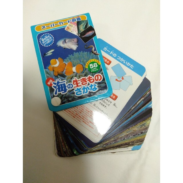 【同梱200円引】カード図鑑「 海の生きものさかな 新版 」「 両生•は虫類 」 エンタメ/ホビーの本(絵本/児童書)の商品写真