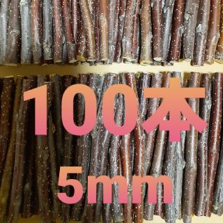 りんご　枝　100本　太さ5mm(小動物)