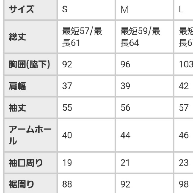 antiqua(アンティカ)のアンティカ　antiqua トップス レディースのトップス(カットソー(長袖/七分))の商品写真