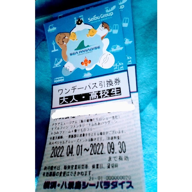 八景島シーパラダイス　ワンデーパス　大人２枚