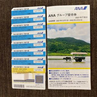 エーエヌエー(ゼンニッポンクウユ)(ANA(全日本空輸))のANA株主優待チケット8枚　グループ優待券1冊(その他)