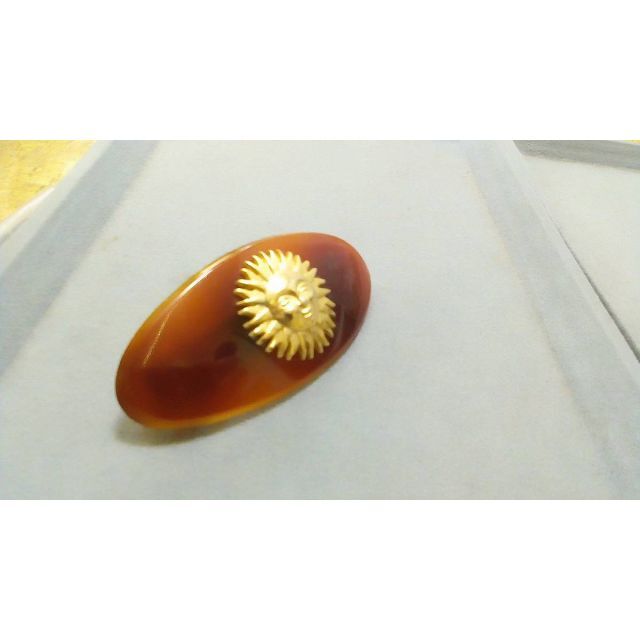 GIANNIVERSACE (ジャンニヴェルサーチ) 鼈甲風カラー バレッタ 髪