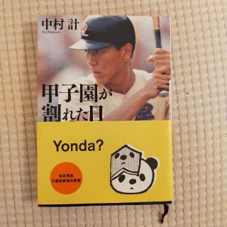 甲子園が割れた日 松井秀喜５連続敬遠の真実(その他)