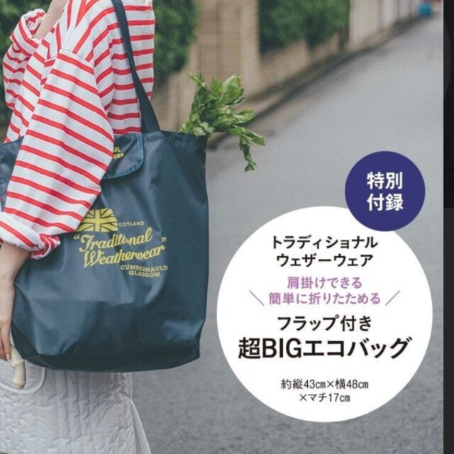 集英社(シュウエイシャ)のトラディショナル 超BIG エコバッグ 雑誌付録 レディースのバッグ(エコバッグ)の商品写真