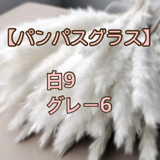 パンパスグラス 白9本 グレー6本 ミックス 15本 ドライフラワー ハンドメイドのフラワー/ガーデン(ドライフラワー)の商品写真