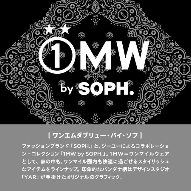 SOPH(ソフ)の『最終お値下げ❗️』ダブルフェイスカーゴパンツ 1MW by SOPH. メンズのパンツ(その他)の商品写真
