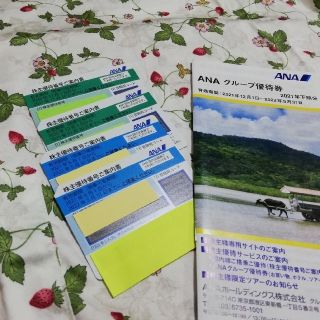 エーエヌエー(ゼンニッポンクウユ)(ANA(全日本空輸))の全日空　ANA 株主優待　４枚 & 優待券冊子(その他)