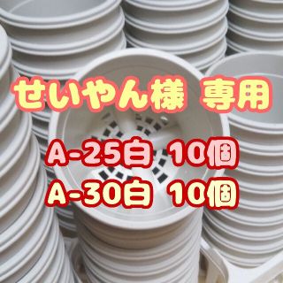 プラ鉢2.5号鉢【A-25】10個 他 スリット鉢 丸 プレステラ 多肉植物(プランター)