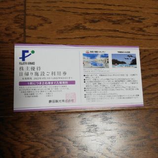 藤田観光株主優待　日帰り施設利用券　1枚(遊園地/テーマパーク)