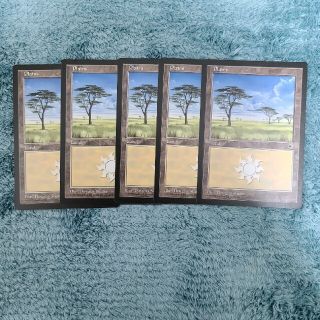 マジックザギャザリング(マジック：ザ・ギャザリング)のMTG ポータル　平地　英語　５枚(シングルカード)