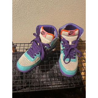 ナイキ(NIKE)のナイキ NIKE ターミネーター　sly 24cm(スニーカー)