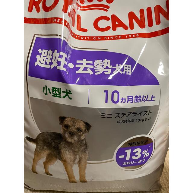 ロイヤルカナン ミニステアライズド 小型犬8kg-