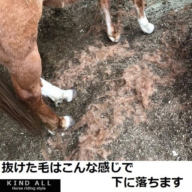 活躍の季節到来！愛馬のお手入れに　ミラクルグルーミングコーム　乗馬　馬術　犬　猫