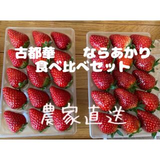 食べ比べ　古都華　ならあかり　橋本農園　いちご　苺　イチゴ　農家直送(フルーツ)